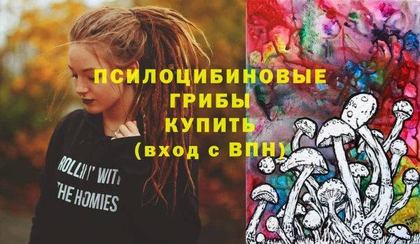 мдма Пересвет