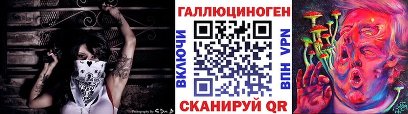 дарнет шоп  Энем  Псилоцибиновые грибы GOLDEN TEACHER 